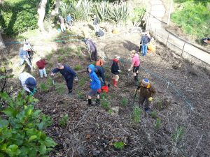 Waipapa planting day July 2015